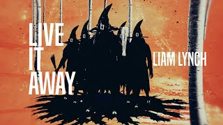 Live It Away (Liam Lynch)