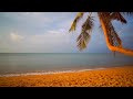 🌊🌴 24/7 Tropical beach - waves ocean sea ambience background video relaxation studying meditation