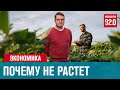 Почему не растет российская экономика - Денискины рассказы/Москва FM