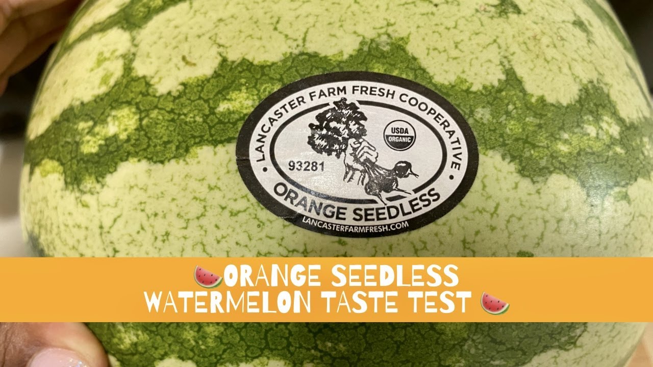 ORANGE WATERMELON🍉 | FIRST REACTION| TASTE TEST| 