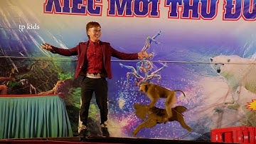 Xiếc khỉ -  Đoàn Xiếc Hoa Phượng