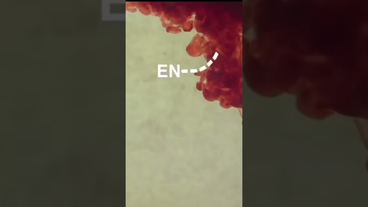 I Took A Cold Shower Every Day For 30 Days 