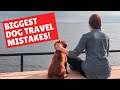 5 things NOT to do when road tripping with a dog!