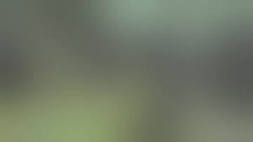 MW2: CIMtricate || CTF - Skidrow