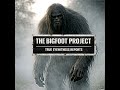 OUR PROPERTY IS SWARMING WITH BIGFOOT