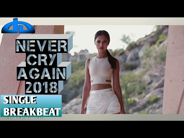 NEVER CRY AGAIN 2018 - DA DODDY ALEJANDRO class=