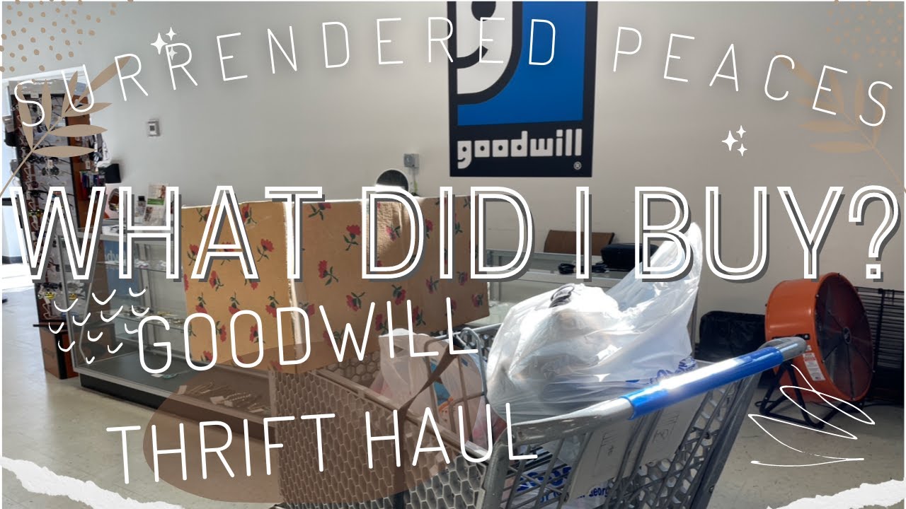 THRIFT HAUL time! Combined haul from multiple Goodwill thrift trips. SO