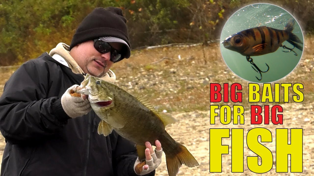 Big Baits for Smallmouth in Virginia