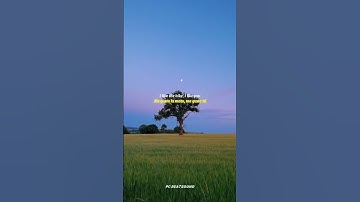 Thumbnail of Me Gustas Tu - Manu Chao |lyrics | aesthetic | whatsapp Status | English songs | slowed |speed up