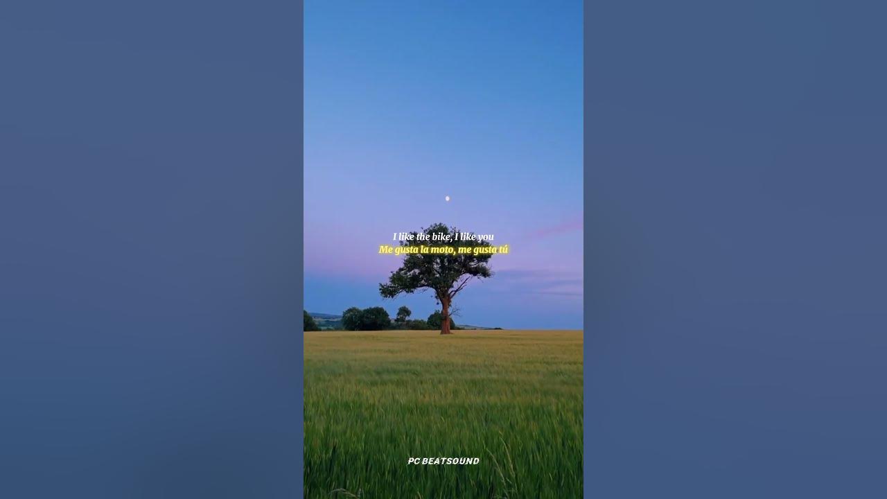 Me Gustas Tu - Manu Chao |lyrics | aesthetic | whatsapp Status | English songs | slowed |speed up