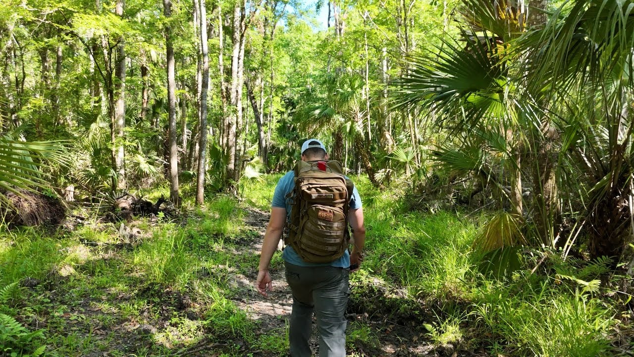Hike n' Hammock in the Florida Wild