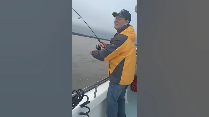 Dadfish catfish