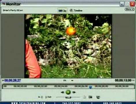 Adobe Premiere Elements: Monitor Window