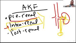 Learn NCLEX Now: Acute vs Chronic Kidney Failure