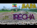 Irreecha Festival LIVE: Addis Ababa’s Brightest Day