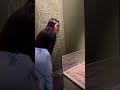 Descubre el Museo Larco: Cerámica y Cultura Peruana