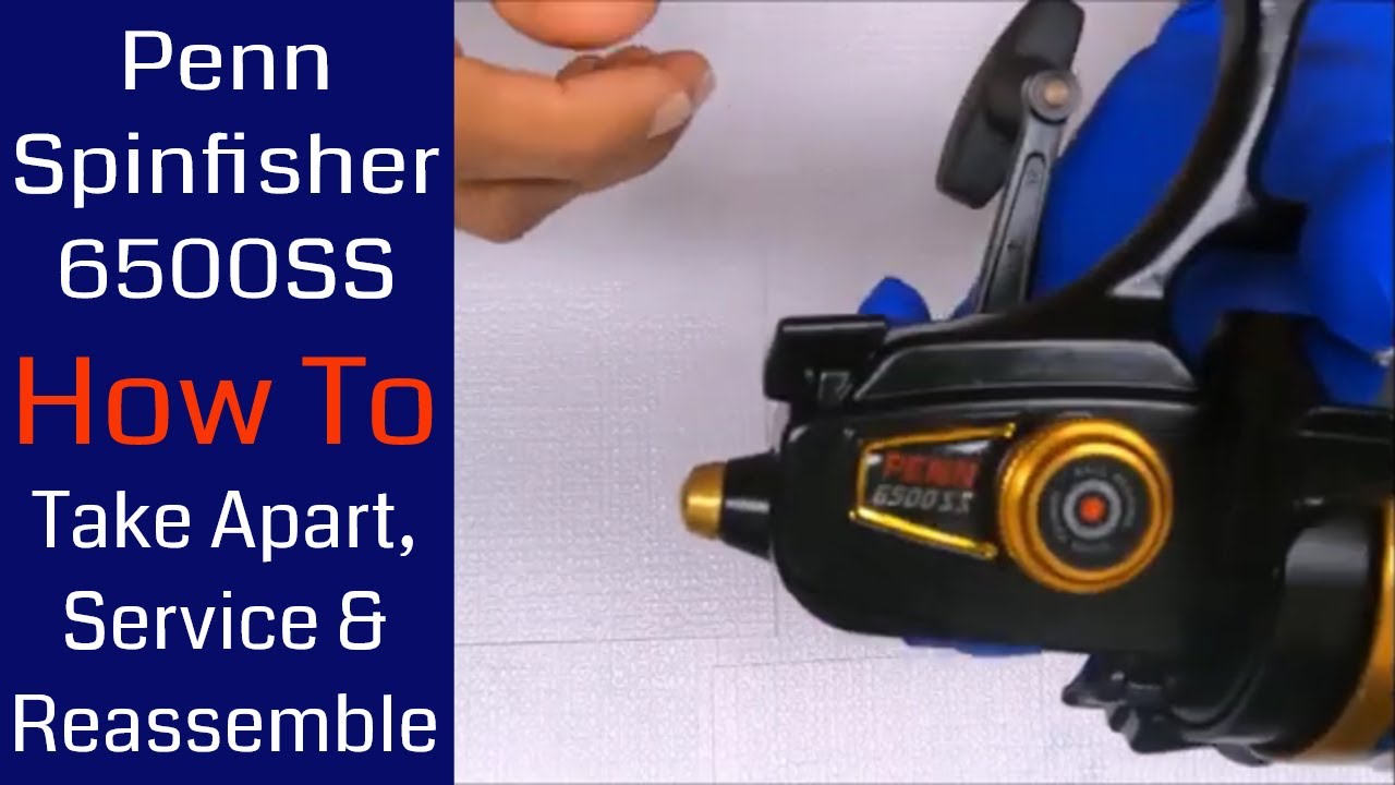 Penn Spinfisher 6500SS Fishing Reel - How to take apart, service