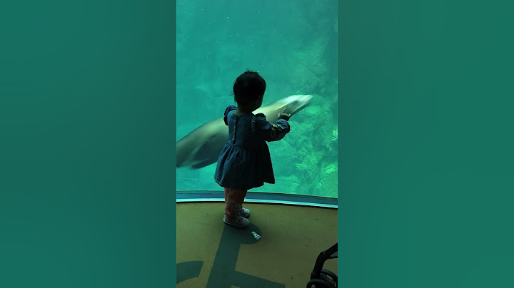 What did she say??  #japantravel #baby #familyvideo