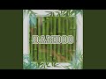 Bamboo mp3