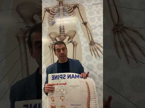 العظام ليست كالسيوم فقط و الرجاء النشر