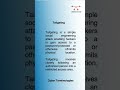 CyberSecurity Definitions | Tailgating