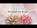 HOW TO COLOR Decorative Plants | Alcohol Markers &amp; Acrylic Markers