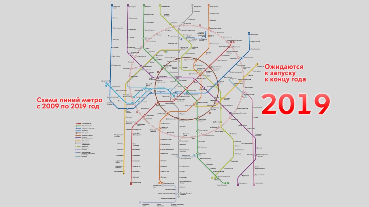 Москва 2019 2020