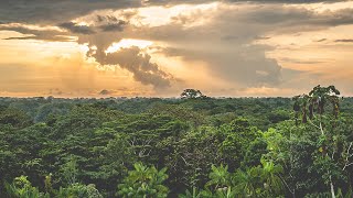 Chévere Colombia 2022 - Chingada Coca, Chicas y Culos Colombianos (GoPro Hero 7 Black - Full HD)