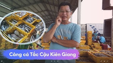 Đi cảng cá Tắc Cậu Kiên Giang mua cá và tham quan - Út Dựt Canada