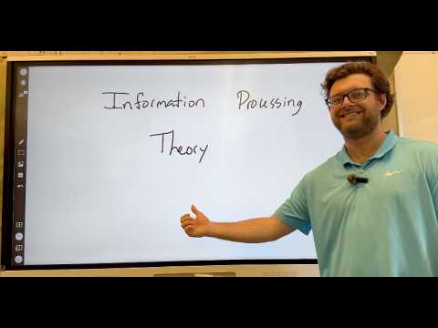 Information Processing Theory Explained | How the Brain Learns a Language