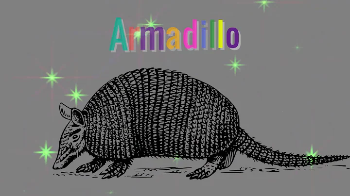 🦾 Armadillo Ande Djur: Symbolik och Betydelse 🦾