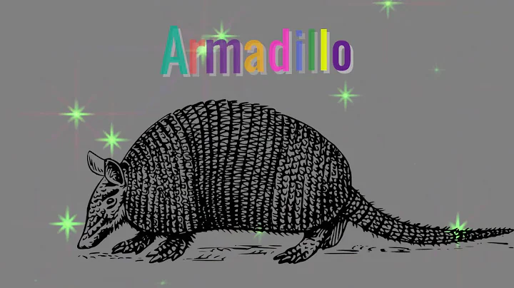 Armadillo: Güvenlik, Esneklik ve Spiritüel Rehberlik