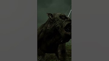 Chimera | S.T.A.L.K.E.R. 2: Heart of Chornobyl
