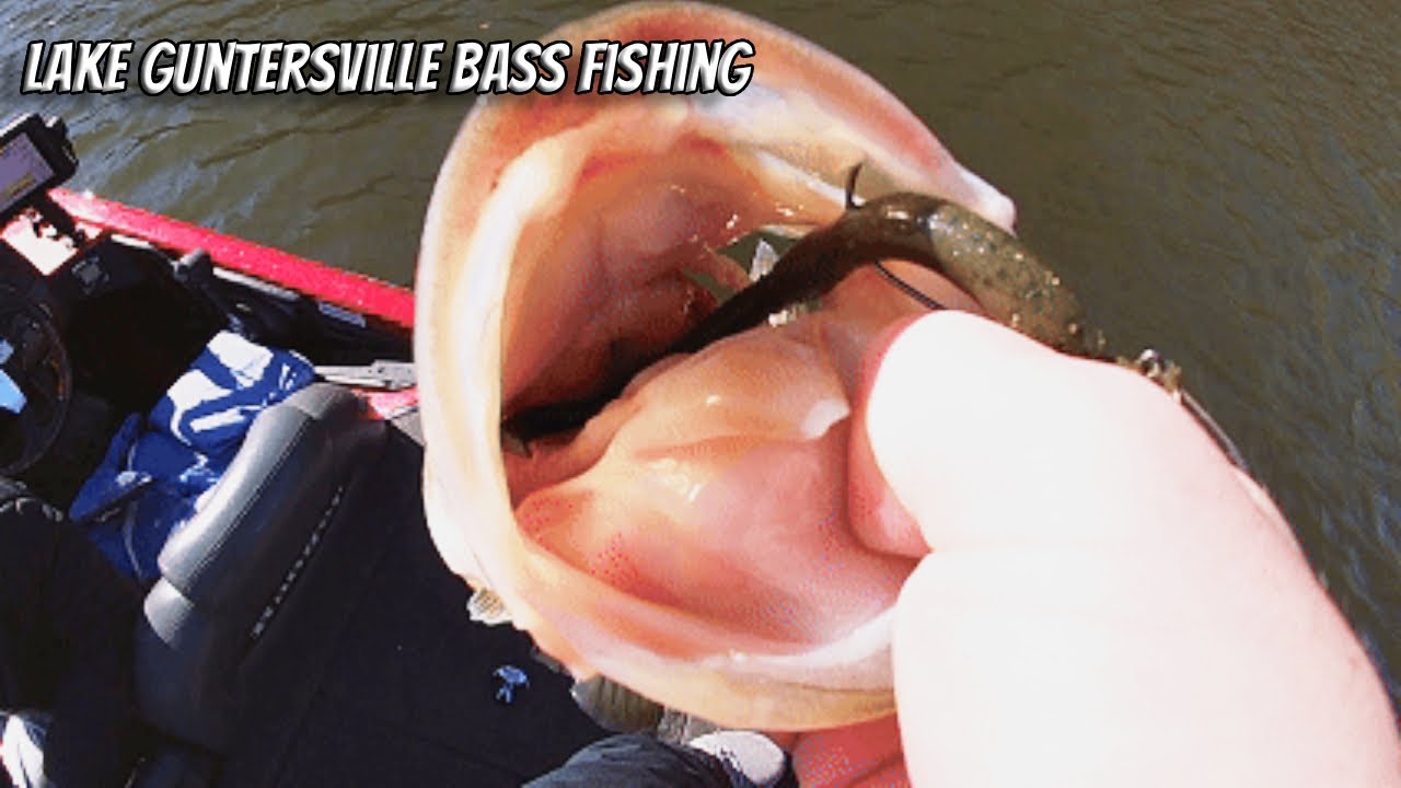 Lake Guntersville Fall Bass Fishing