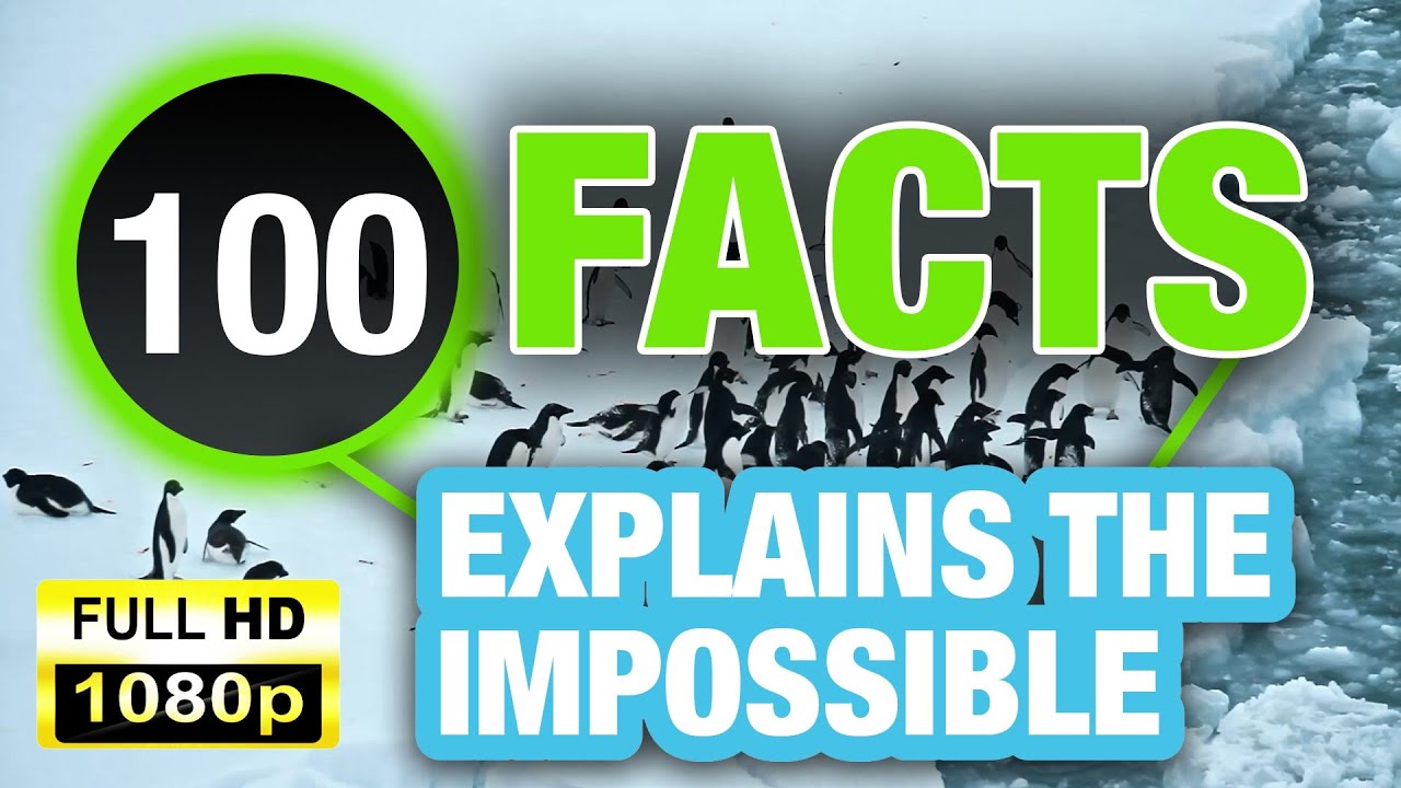 100 Random Facts That Will Totally Blow Your Mind! - YouTube