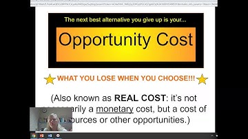 Scarcity and Paced Decision Making Model