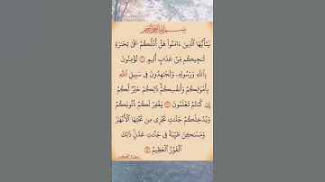 #القران_كريم 🎆#سورة #الصف #استغفر_الله_واتوب_إليه_استغفر_الله_العظيم 🏵
