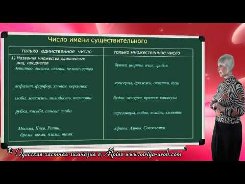 Число имени существительного Число имени существительного