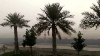 Winter 2016 Bahrain #bahrain #foggy #fogs #BIIP #bahrainbloggers #lifeinbahrain #pearlisland #memes screenshot 5