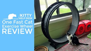 One Fast Cat Exercise Wheel Review