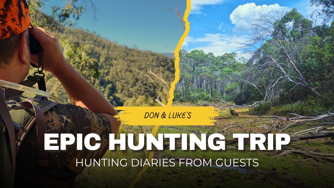 Why do you hunt? A Forest to Fork "HunTestimonial"