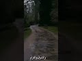اغنية شيرين بتشبه عليه بدون موسيقى 