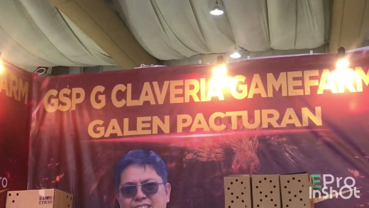 8TH CEBU NATIONAL GAMEFOWL EXPO 2025 October 17,18,19 Bumili ako ng Manok