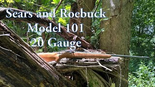 Sears & Roebuck Model 101 | 20 Gauge Shotgun |