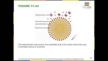 General Chemistry II Chapter 11: Openstax Section 11.5