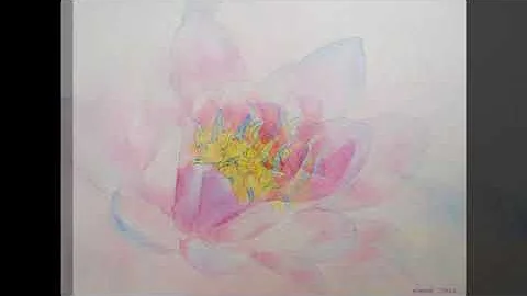 Asahara Nymphaea Watercolor Demo