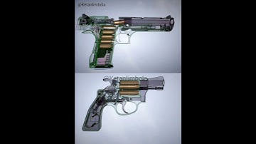 Desert Eagle x S&W Revolver