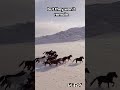 Wild Horses Running Free – Hypnotic Afro-House Short #WildHorses #RunningFree #AfroHouse