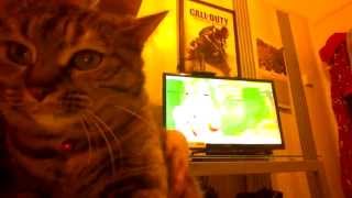 Reaction Vid Racist Mario Rude