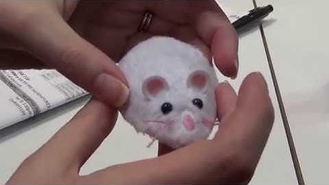 Hexbug Toys for Cats